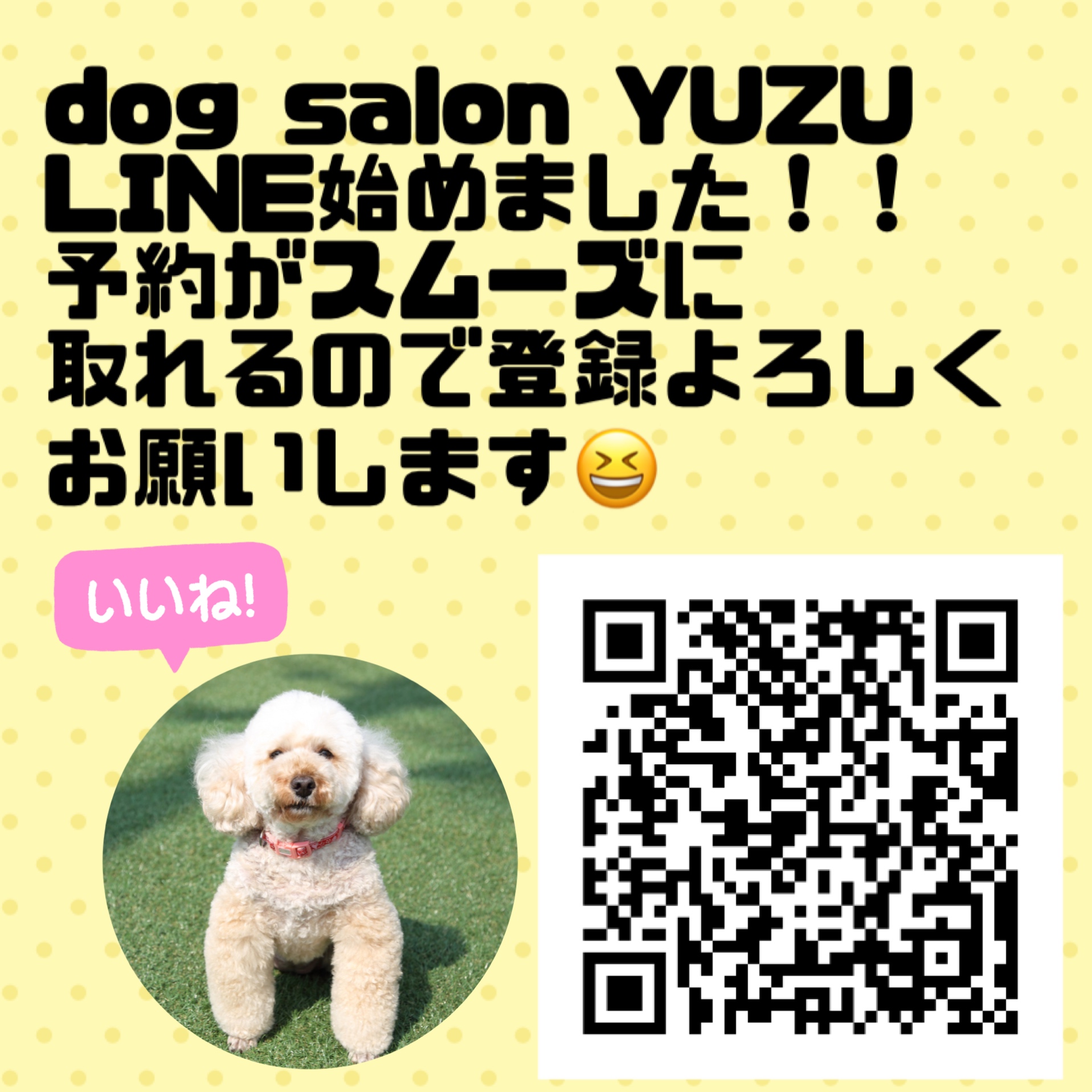 dog salon YUZU LINE 始めました！